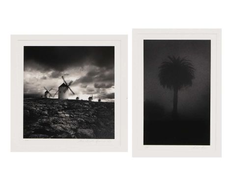 Michael Kenna (b.1953) 'Palm Tree San Francisco, California', 1983, '3/45';'Quixote's Giants, Study 3, Campo De Cruptana, La 