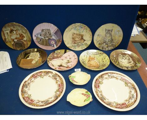 Eight Royal Worcester kitten plates (The Hamilton Collection), plus two Devonshire plates and two Carltonware dishes.