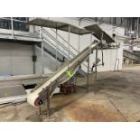 Incline Section of Conveyor, with Aprox. 12" W Plastic Belt, Aprox. 88" H Belt to Floor (LOCATED