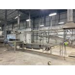 (2) Straight Section of S/S Conveyor, with S/S Incline Conveyor, with Aprox. 30" W Plastic Interlock