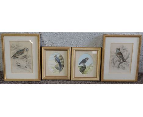 Eight assorted bird pictures and prints; including Andrew Osborne, Kestrels, watercolour, also two prints by Henry Wilkinson 