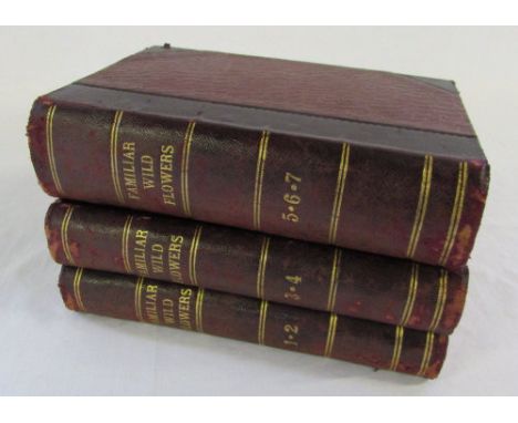Familiar Wild Flowers 1-7 (3 books) by F Edward Hulme First Series with coloured plated Cassell & Company
