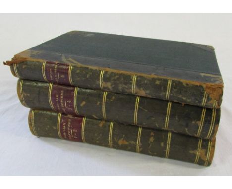 Familiar Wild Flowers by F Edward Hulme First Series with coloured plates Cassell & Company vol I-V (3 books)