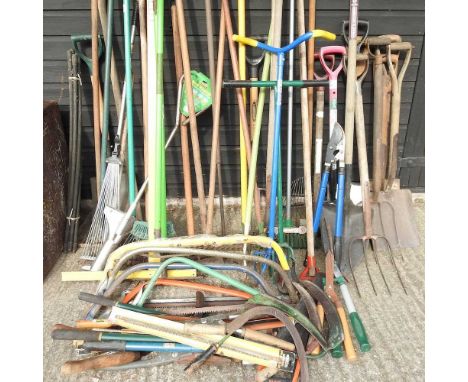 A collection of gardening tools