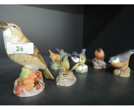 Six Royal Worcester studies, Thrush 3234, Great Tit 3335, Bullfinch 3238, Nuthatch 3334, Blue Tit 3199 and Wren 3198