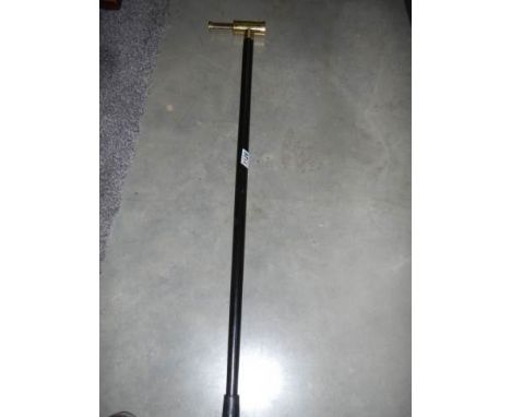 A walking stick with brass telescope handle.