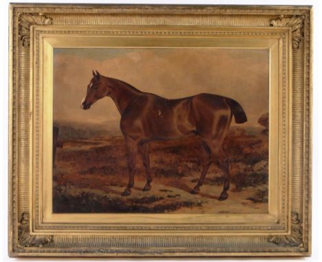 19th century English School,oil on canvas, portrait of a chestnut horse in a landscape, unsigned, 20" x 26", framed.