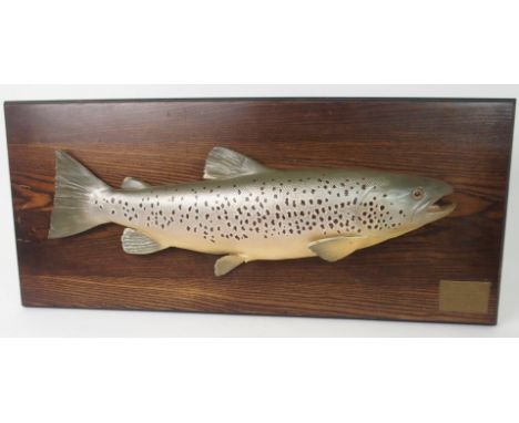 A MODERN RESIN BROWN TROUT on hardwood plaque, with brass plaque inscribed Brown Trout, Aged 10 Years, Loch Sionascaig, 11 Ju