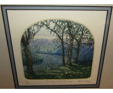 Assorted pictures and prints, to include Stephen White - Evening across the river, colour etching; pair of satirical prints e