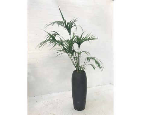 INDOOR PALMin large black shaped pot, pot height 104cm, with watering pipe 