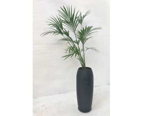 INDOOR PALMin large black shaped pot, pot height 104cm, with watering pipe 
