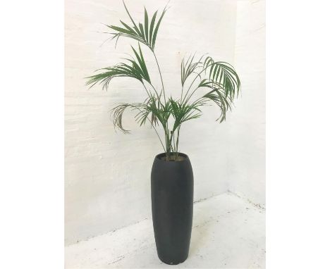 INDOOR PALMin large black shaped pot, pot height 104cm, with watering pipe 