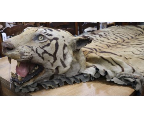 An Indian tiger skin rugProvenance: circa 1890-1900, Roscoe Allen, engineer in India died 1912 in a hunting accident