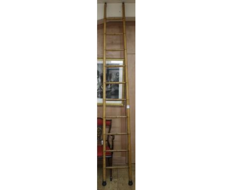 A library ladder, H.280cm