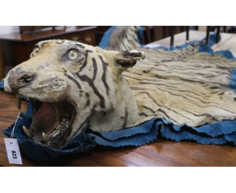 A Tiger skin rugProvenance: circa 1890-1900, Roscoe Allen, engineer in India died 1912 in a hunting accident