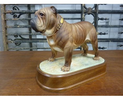 A Royal Worcester porcelain model of a bulldog on a mahogany plinth