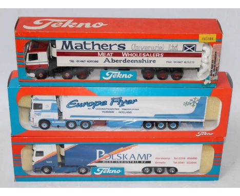 A Tekno 1/50 scale boxed road haulage diecast group to include a Europe Flyer DAF 95/480 tractor unit and refrigerated traile