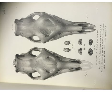 STAMPS:  Book with very interesting black and white diagrams of bones and bone structure. The book has been used as a Stamp A