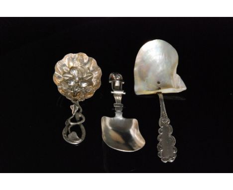 A Victorian hallmarked silver caddy spoon, the fluted silver gilt bowl decorated with embossed apples and pears below a natur