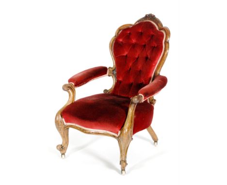 A Victorian open armchair with foliate carved exposed walnut frame, button down maroon upholstery above cabriole front legs.