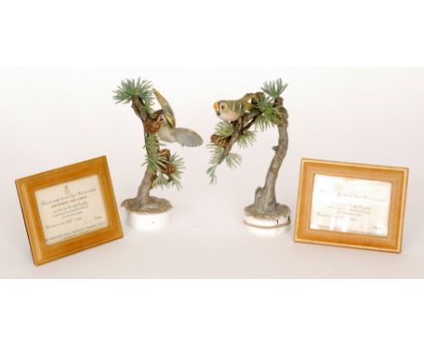 A pair of Royal Worcester birds modelled by Dorothy Doughty comprising a Goldcrest Regulus Cristatus and Larch (Cock and Hen)