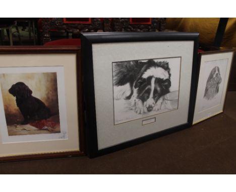 THREE FRAMED AND GLAZED PRINTS OF VARIOUS DOGS TO INCLUDE A LIMITED EDITION PRINT BY K ADDERLY 