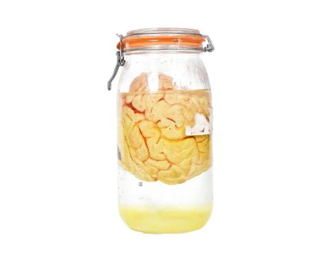 Forkbeard Fantasy - The Brain&nbsp;(1999) - an original stage prop 'brain in a jar'. Featuring a latex brain housed within a 