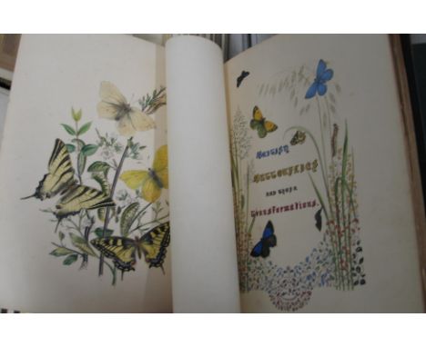 [ENTOMOLOGY] HUMPHREYS &amp; WESTWOOD, British Moths / Butterflies and their Transformations, 2 + 1 vols, 4to, first work, 12