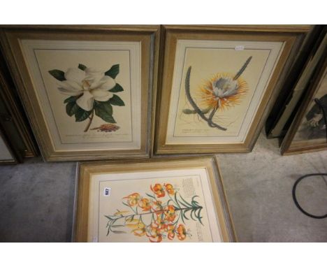 A Set of Seven Framed and Glazed GD Ehret Botanical Prints 