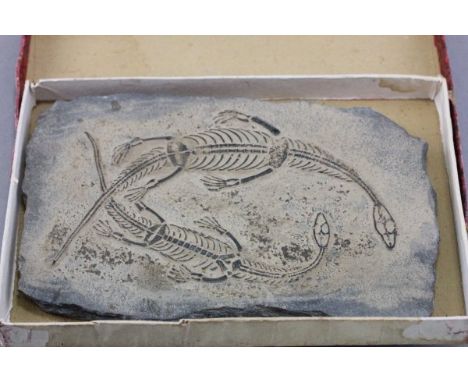 A Slate Fossil effect piece 