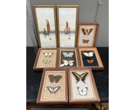 ENTOMOLOGY: SIX FRAMED DISPLAYS OF BUTTERFLIES AND MOTHS together with a pair of watercolours by R. Montague. (8) Watercolour