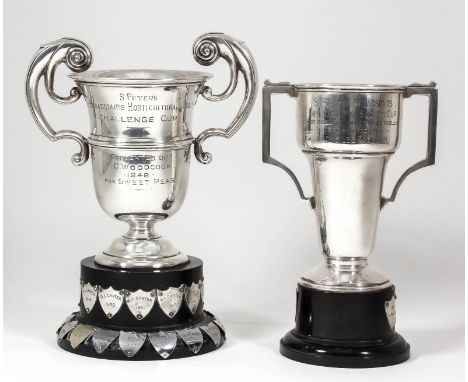 A George V silver two-handled prize cup - "St. Peter's and Broadstairs Horticultural Society Challenge Cup", with moulded rim