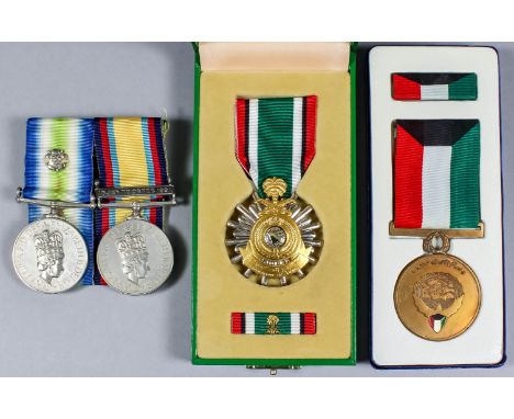 A pair of Elizabeth II medals to 24581831 L. Cpl. S. J. Mayhew, Army Catering Corps - South Atlantic medal with rosette, and 