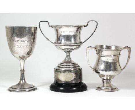 An Elizabeth II silver two-handled prize cup - "T. P. Blench Challenge Cup", with angular handles, on moulded footrim, 5.25in