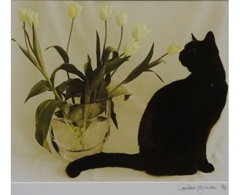 Cat and Flowers, limited edition photographic print no.4/5 after Caroline Hyman signed and numbered in pencil on the mount no