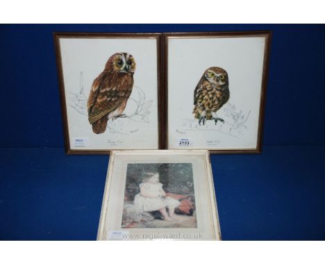 Two prints of Owls and print of young girl 