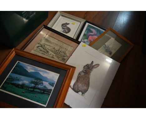 A small number of framed pictures to include a signed rabbit watercolour and a red squirrel print