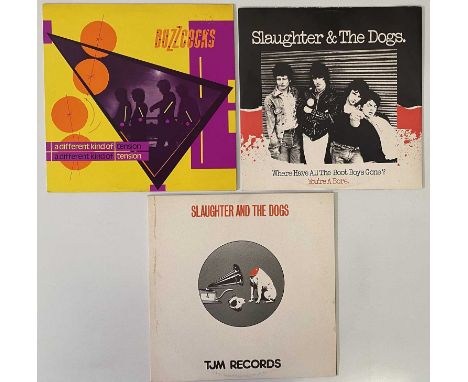 MANCHESTER PUNK SCENE - - 7" PLUS 12"/LP. Alright kidda, here's 15 x essential 7" plus 3 x 12"/LPs for yer! To include The Fa