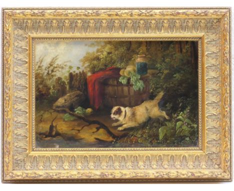 Manner of George Armfield (1808-93), Guarding the vegetable patch, oil on board, 20cm x 30cm 