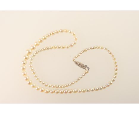 Cultured pearl graduated choker necklace, the pearls 3-7mm diameter, united with a 9ct white gold clasp inset with diamond ch