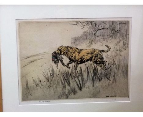 Henry Wilkinson (British 1921-2011) - A pair of Pointers and a Golden Retriever with pheasant (pair) signed, coloured limited