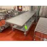 S/S TABLE WITH BOTTOM SHELF