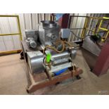 S/S TWIN SCREW HAMMER MILL