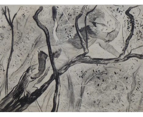 John Copley (1875-1950) A Tree Sugeon. Etching. Pencil signed lower right. 53 x 41 cm