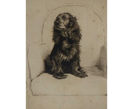 Cecil Aldin (1870-1935)  Cocker spaniel in an armchair. etching, Pencil signed and numbered 6/100. 17 x 21 cm.