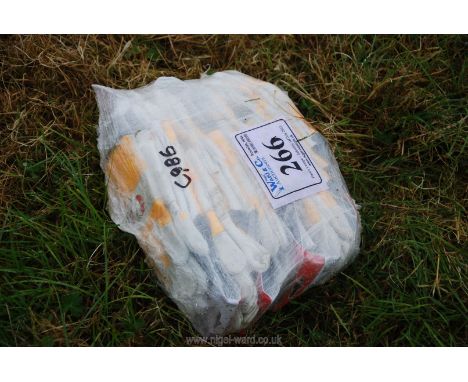 Pack of Oregon  chainsaw gloves.