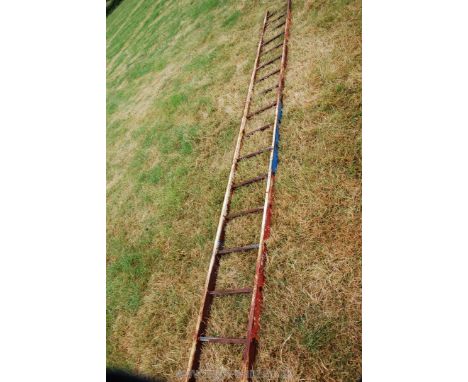 17 rung steel ladder.