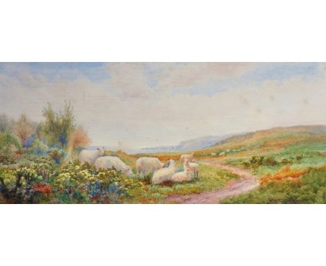 Arthur Stanley Wilkinson (c.1860-1930) British. Sheep in a Landscape, Watercolour, Signed, 9" x 20", and another watercolour,