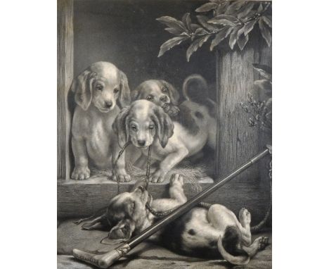 Samuel Henry Carter (1835-1892) British. Puppies Playing with a Fox Hunting Whip, Engraving, Signed in Pencil, 23" x 18.5".