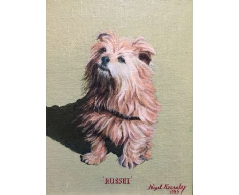 Nigel Kearsley, 1985, signed and dated, portrait of a terrier dog (Yorkshire?), “Russet”, oil on board, 26cm x 20cm. Conditio